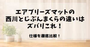 エアブリーズマット 西川 じぶんまくら 違い